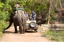 Jungle Safari, Coorg Jungle Safari, Coorg